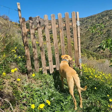 Rustic Country 度假居 Benamargosa